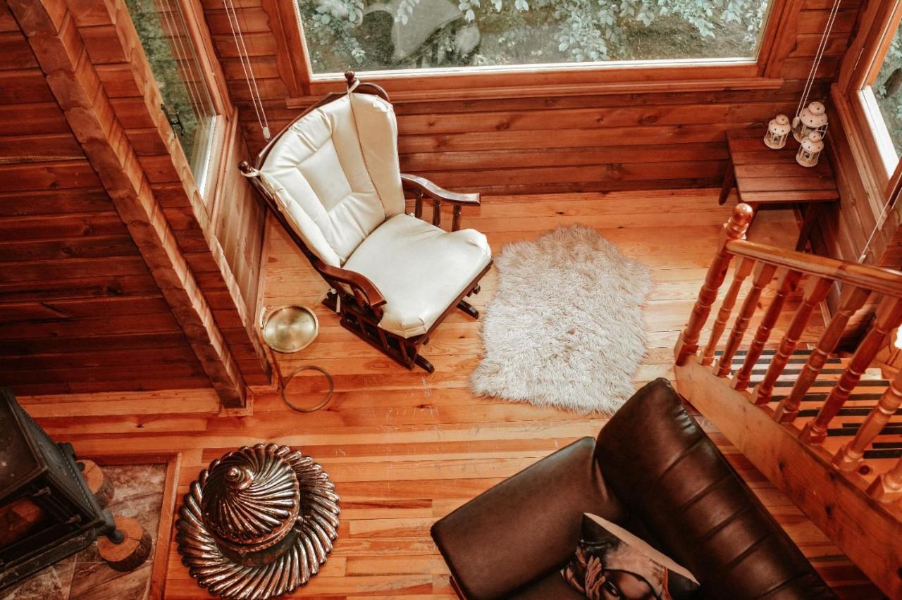 Abant Korudam Bungalov Butik Otel Exteriör bild