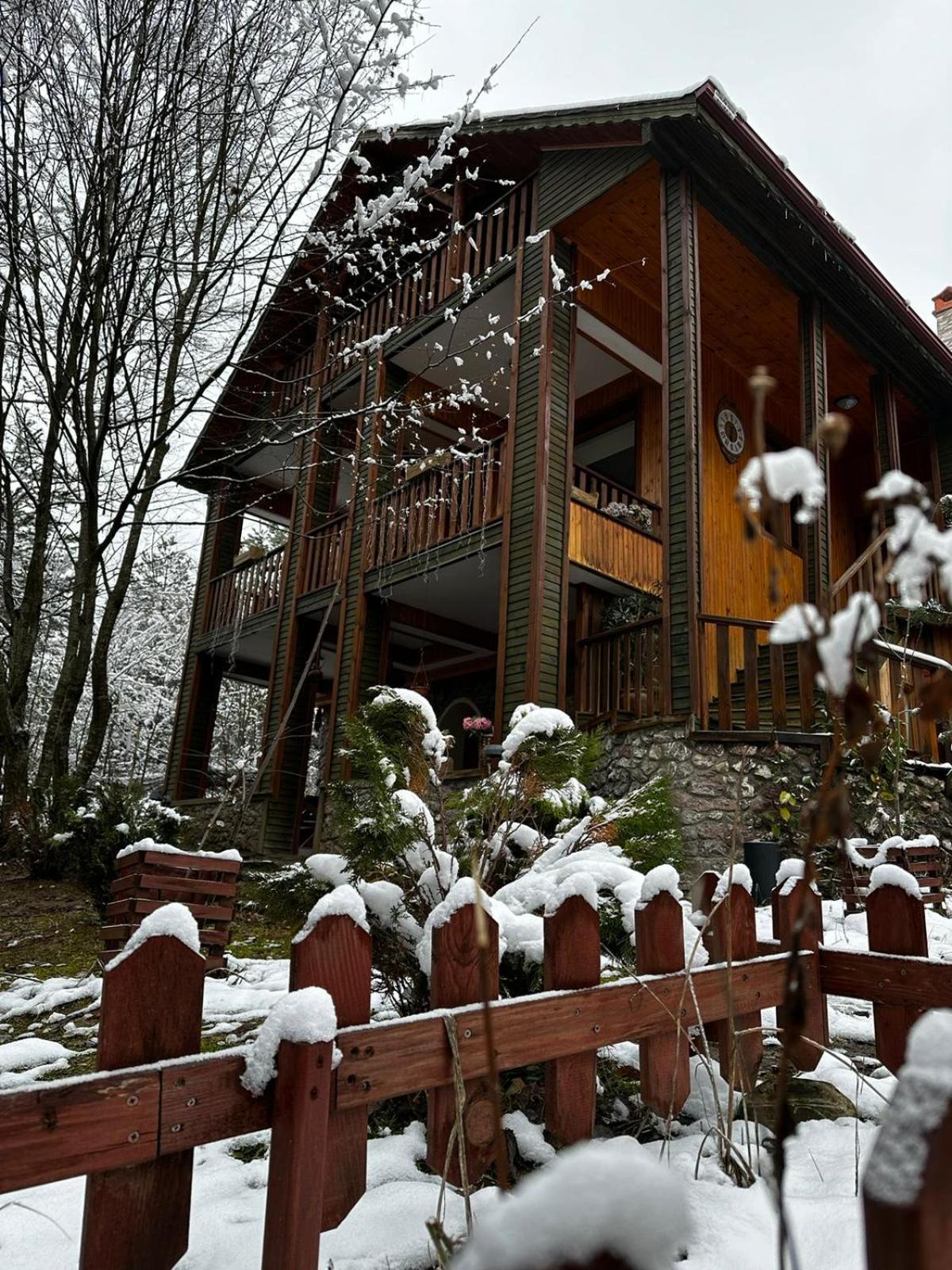 Abant Korudam Bungalov Butik Otel Exteriör bild