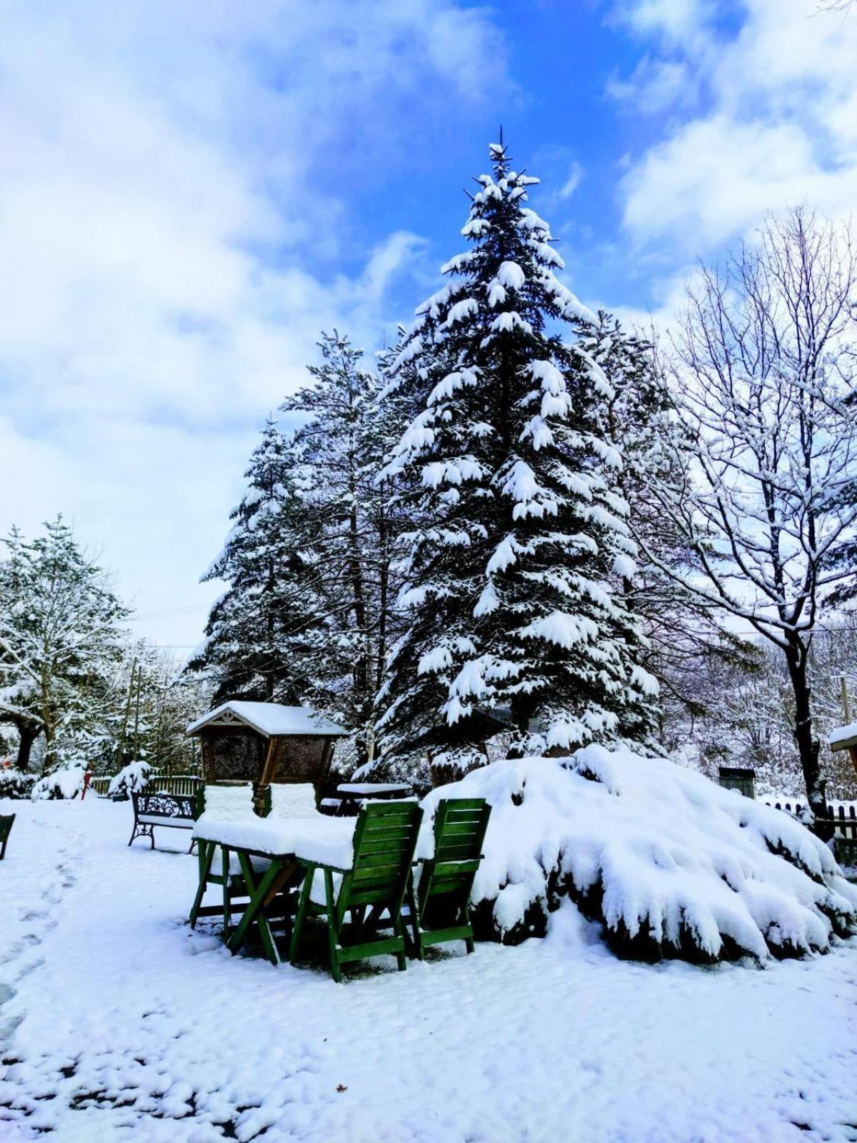 Abant Korudam Bungalov Butik Otel Exteriör bild